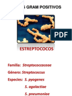 CLASE 2 ESTREPTOCOCOS. Streptococcus Pyogenes