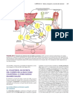 Harper BIBLIOGRAFIA CLASE 23