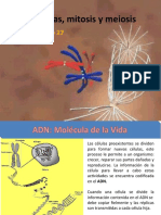 Cromosomas, Mitosis y Meiosis FM