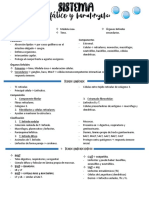  Sistema Linfático y Hemato