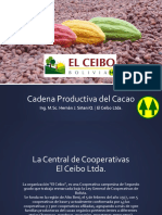 2015 Cadena Productiva Cacao