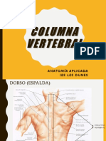 Anatomia Columna Vertebral