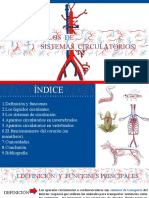 Sistemas Circulatorios