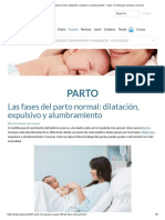 Las Fases Del Parto Normal - Dilatación, Expulsivo y Alumbramiento - Inatal - El Embarazo Semana A Semana