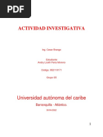 Actividad Investigativa