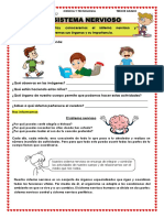 Ficha 123 Conocemos El Sistema Nervioso Ciencia y Tecnología