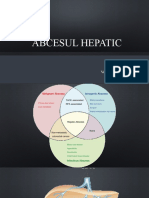 Abces Hepatic