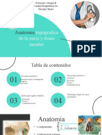 Diapositivas Sobre ORL