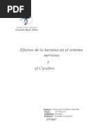 La Heroína en El Sist. Nervioso y Cerebro