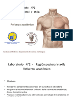 Anatomía de Region Pectoral y Axila