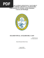 Examen Final Laboral Danilo Robles Puma Martes 8 de Junio 2021