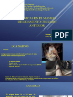 Rodilla Seminario