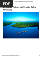 Comidas Típicas Del Estado Delta Amacuro Gastronomía VENEZUELA - 124711