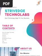 StrivEdge Technolabs Profile