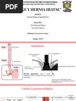 Erge y Hernia Hiatal