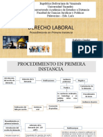 Procedimiento Primera Instancia