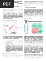 El "Punto Justo" de La Innovación