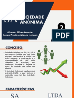 Sociedade Anônima - Introdução