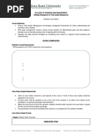 Output & Project Mechanics STRAMA