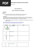 Guía 5. Trabajo de Laboratorio y Sus Elementos. 4º5º Bufano. 2021