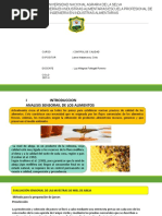 Analisis Sensorial Miel de Abejas