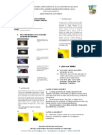 Examen Bimestral Ciencias 6 y 7