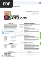 Descargar Hoja de Vida Gratis en Formato Word - Descargar CV