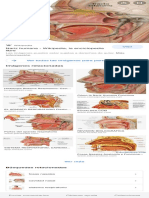 Partes de La Nariz y La Boca - Buscar Con Google