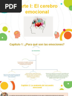 Resumen Inteligencia Emocional