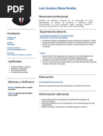 Luis Gustavo Boza Peralta CV