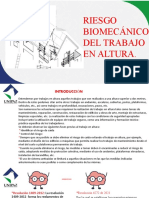 Riesgo Biomecanico