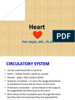 Heart: Petr Hajek, MD., PH.D