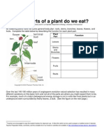 Parts of Plant Eat Protocol