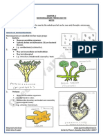 Class Viii - Science - CH2 - Microorganisms-Friend and Foe-2