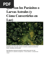 Qué Son Los Parásitos o Larvas Astrales