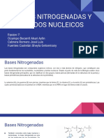 Bases Nitrogenadas y Ácidos Nucleicos