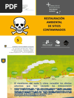 Modulo 5 Restauración Ambiental de Sitios Contaminados