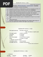 12° Sesión Morfemas IV