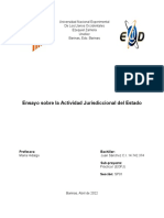 Ensayo Sobre La Actividad Jurisdiccional Del Estado