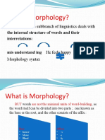 6 - What Is Morphology