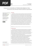 Producción de Carotenoides Por Rhodotorulamucilaginosa en Lote y PDF