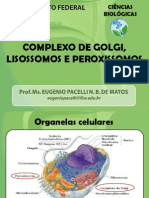 Aula 10 - Complexo de Golgi, Lisossomos e Peroxissomos