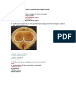 Preguntas de Anatomia