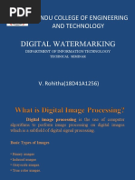 Digital Watermarking