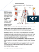 Biología - Sistema Circulatorio