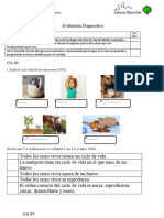 3° Evaluación Diagnostica