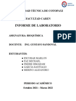 Informe 1 - Adn - G1