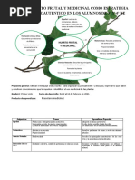 Proyecto Primer Ciclo