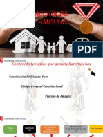 ACCION DE AMPARO (Autoguardado)