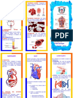 Sistema-Circulatorio Triptico